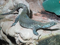 Foto vom Besuch des Klimahaus Bremerhaven